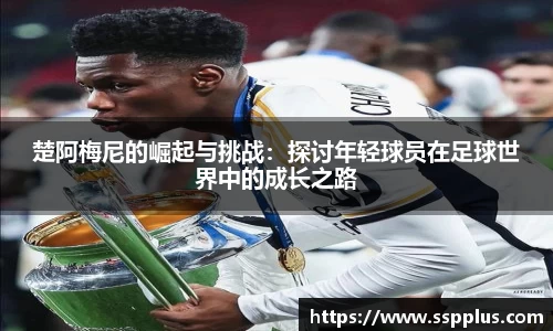 XK星空体育官网